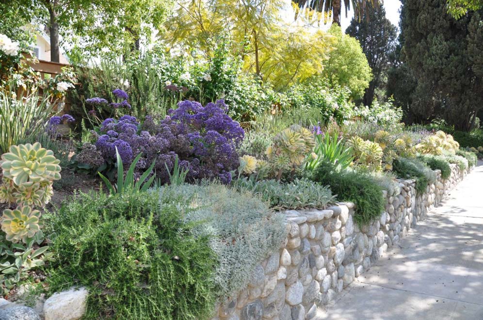 Stone Wall Garden