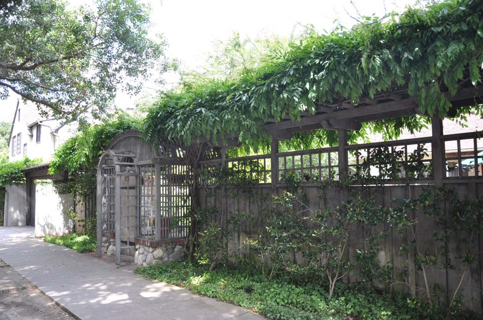 Large Wisteria Support