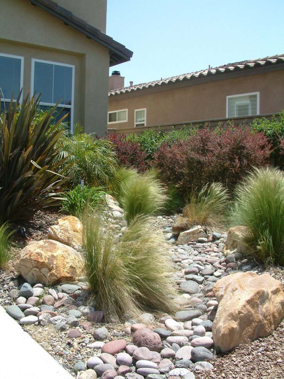 Wispy Grasses and Friends