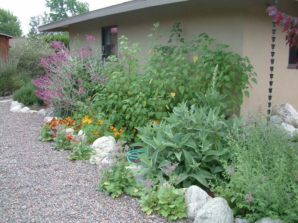 Spectacular House Planting