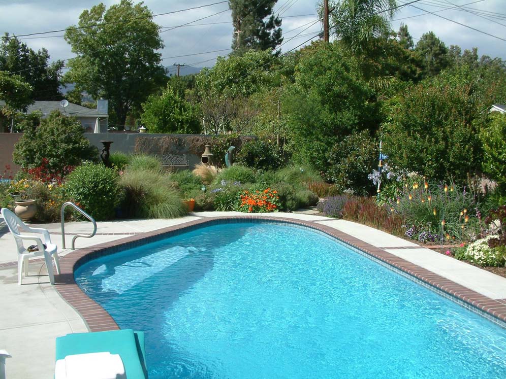 Pool Backyard