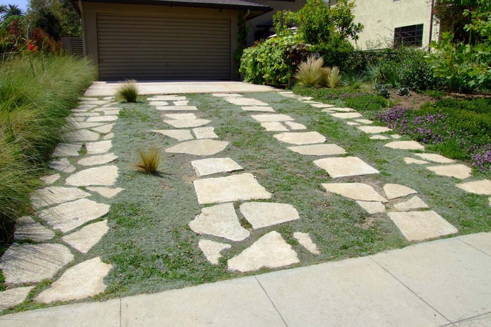 Groundcovered Driveway