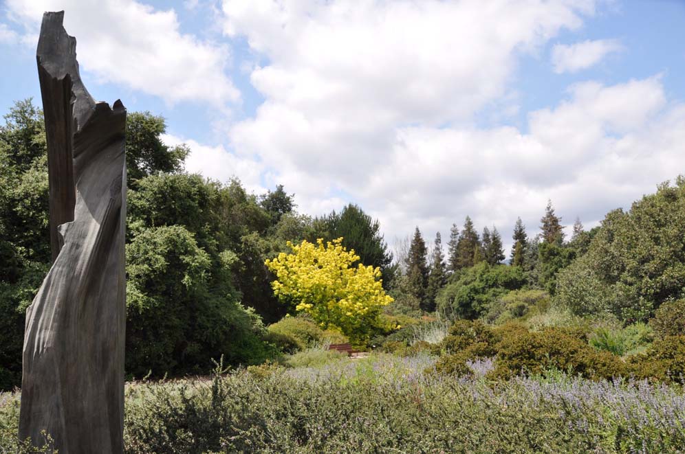 Sculpture in the Garden