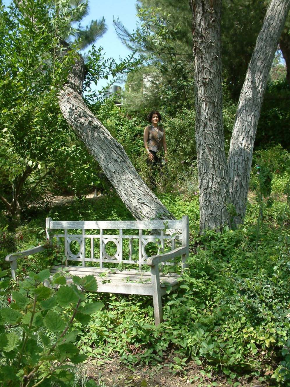 Bench in the Woods