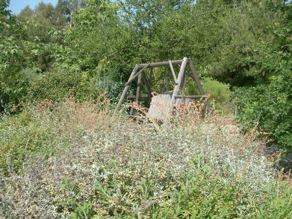 Distant Rocking Bench