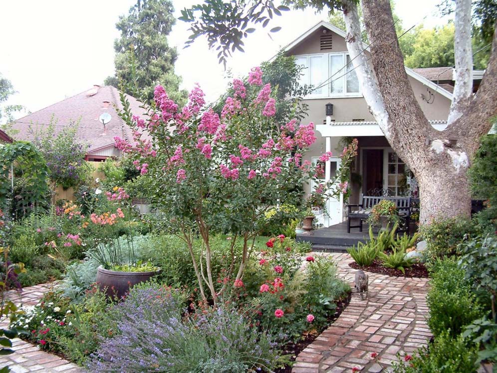 Looking Back Towards the House