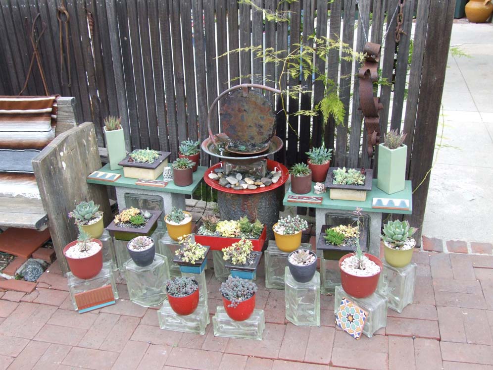 Succulent Container Area