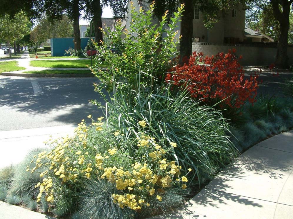 Clever Side Walk Planting