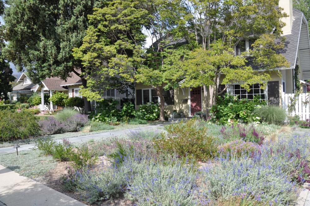 Large Front Yard Garden