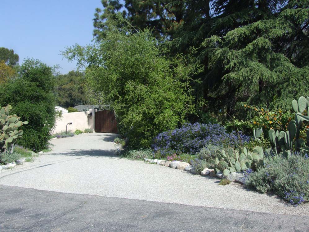 Looking Down the Driveway