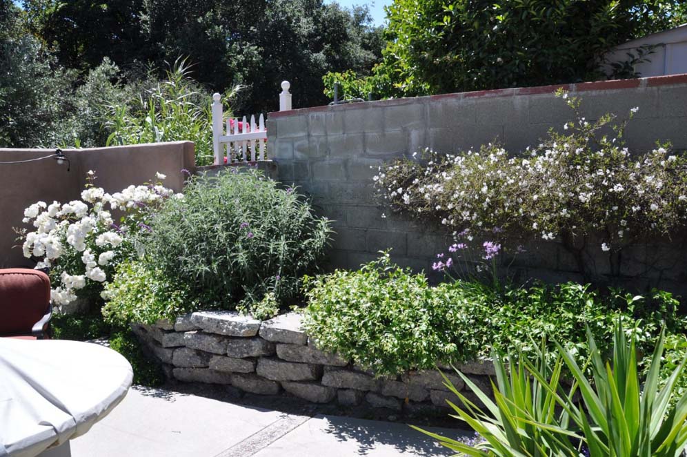 Retaining Wall Garden