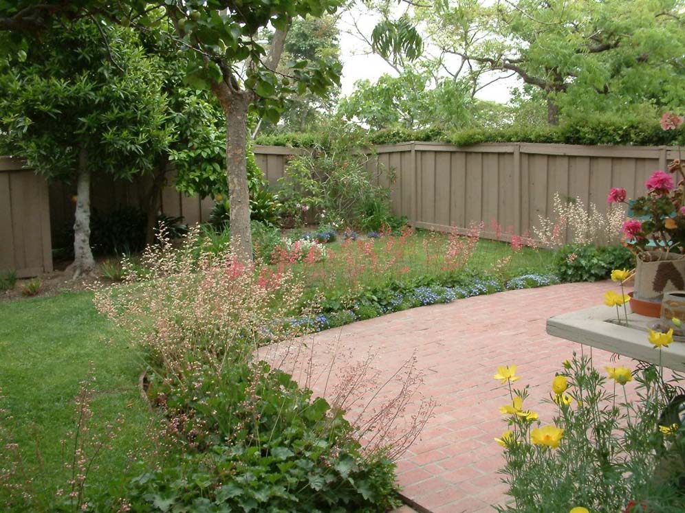 Backyard Heuchera Border