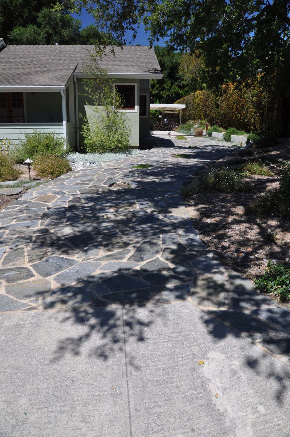 Dappled Shaded Driveway