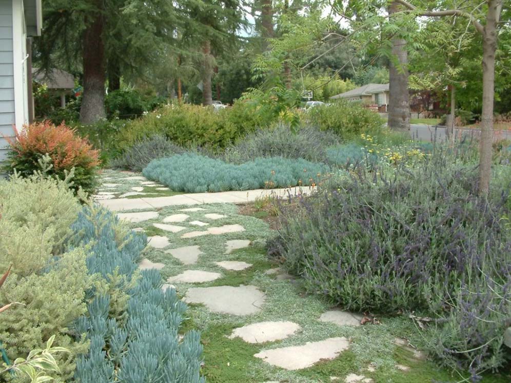 Bungalow Pathway