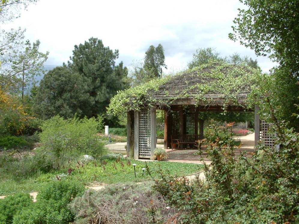 California Grape Gazebo