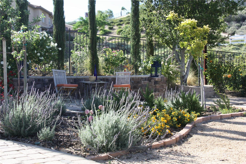 Lavender Back Yard Bed