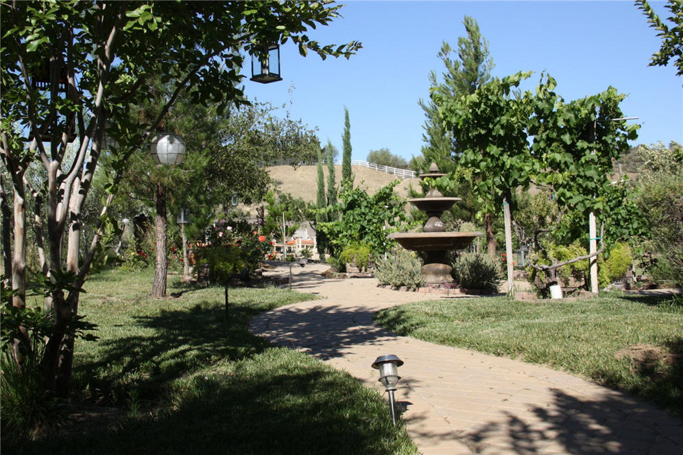 Water Feature in the Back Yard