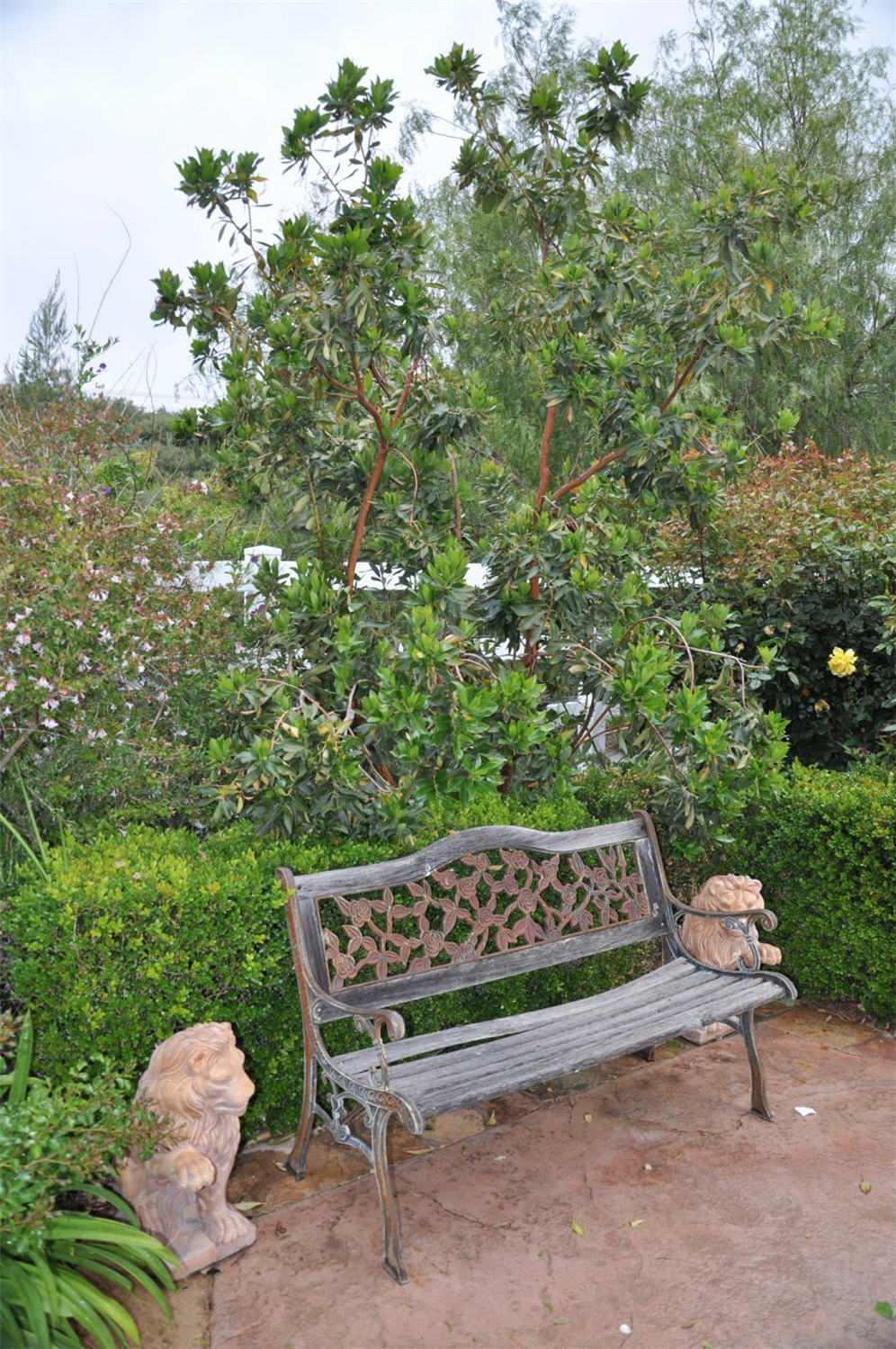 Seating with Lion Statues