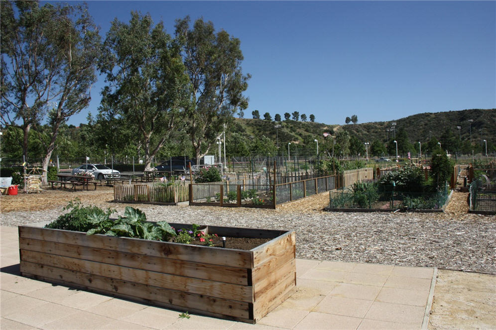 Community Garden 2