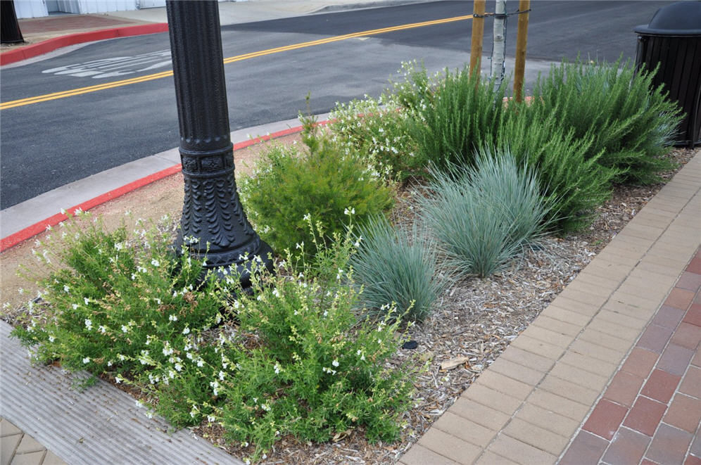 Curb in Downtown Newhall