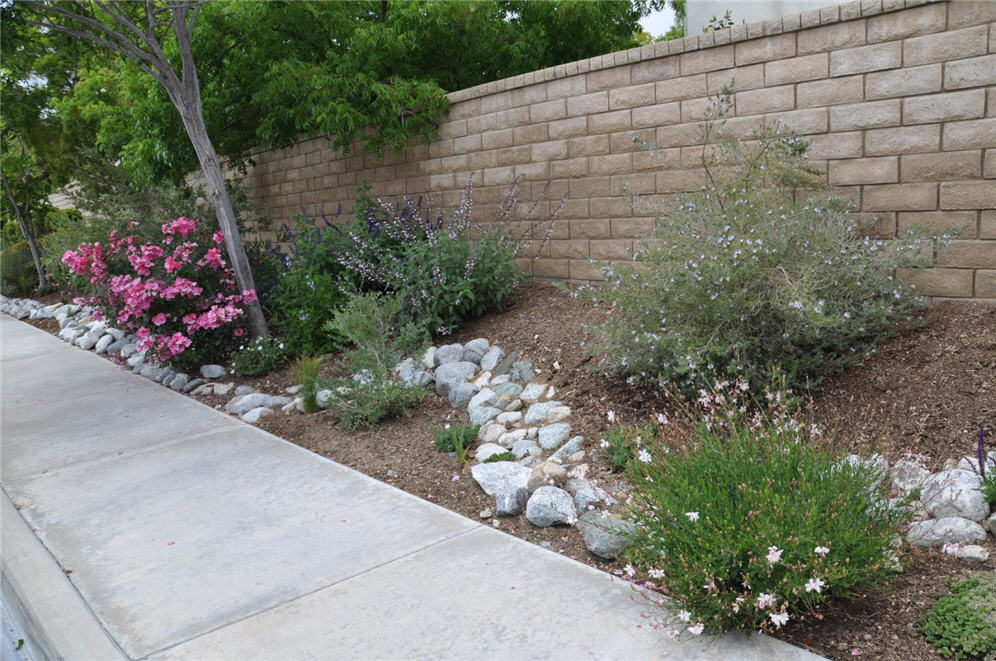 Small Hillside Border