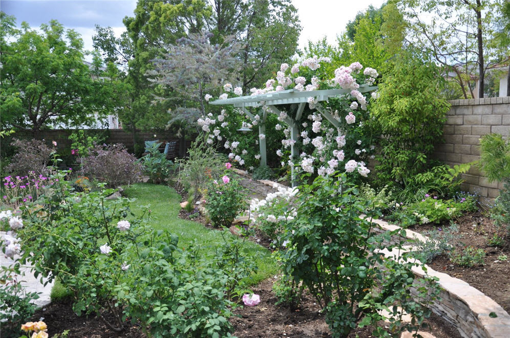 Rose Garden