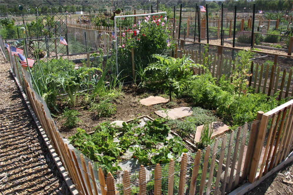 Community Garden 16