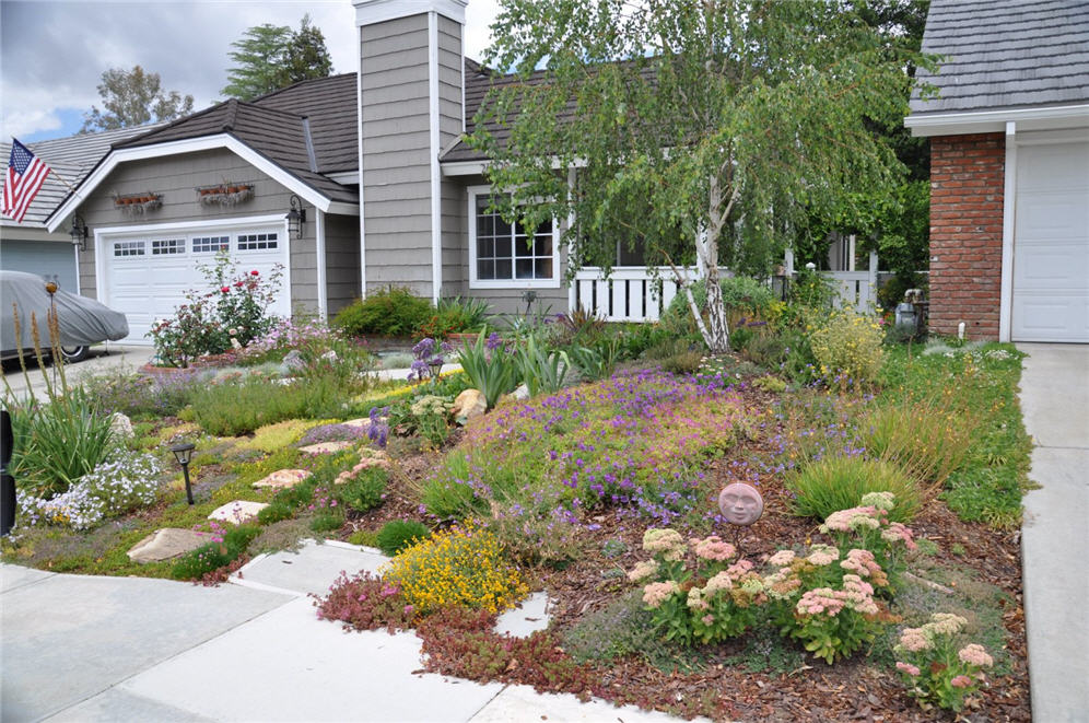 Sod-Less Garden