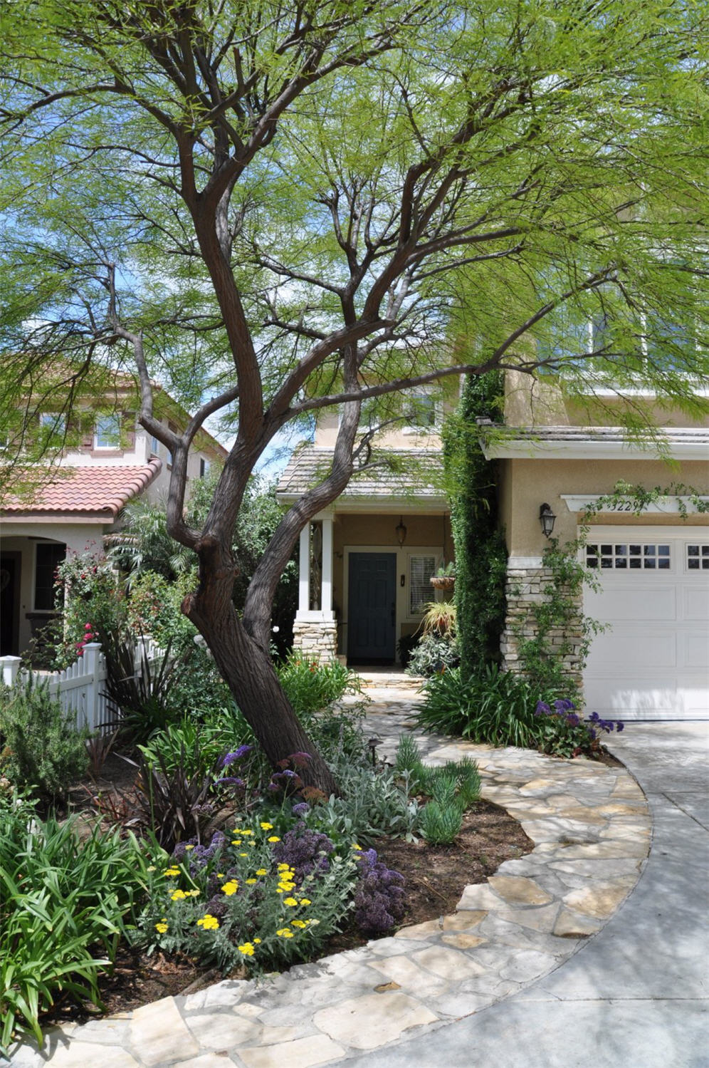 Dappled Shaded Entry