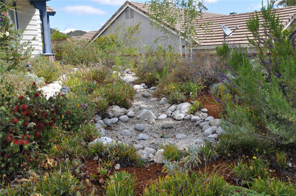 Dry Creek Bed