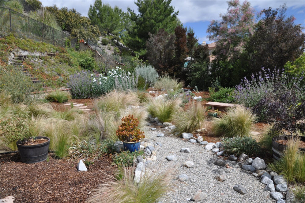 Waves of Grasses