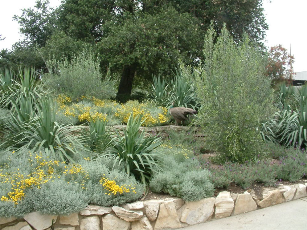 Yucca Border