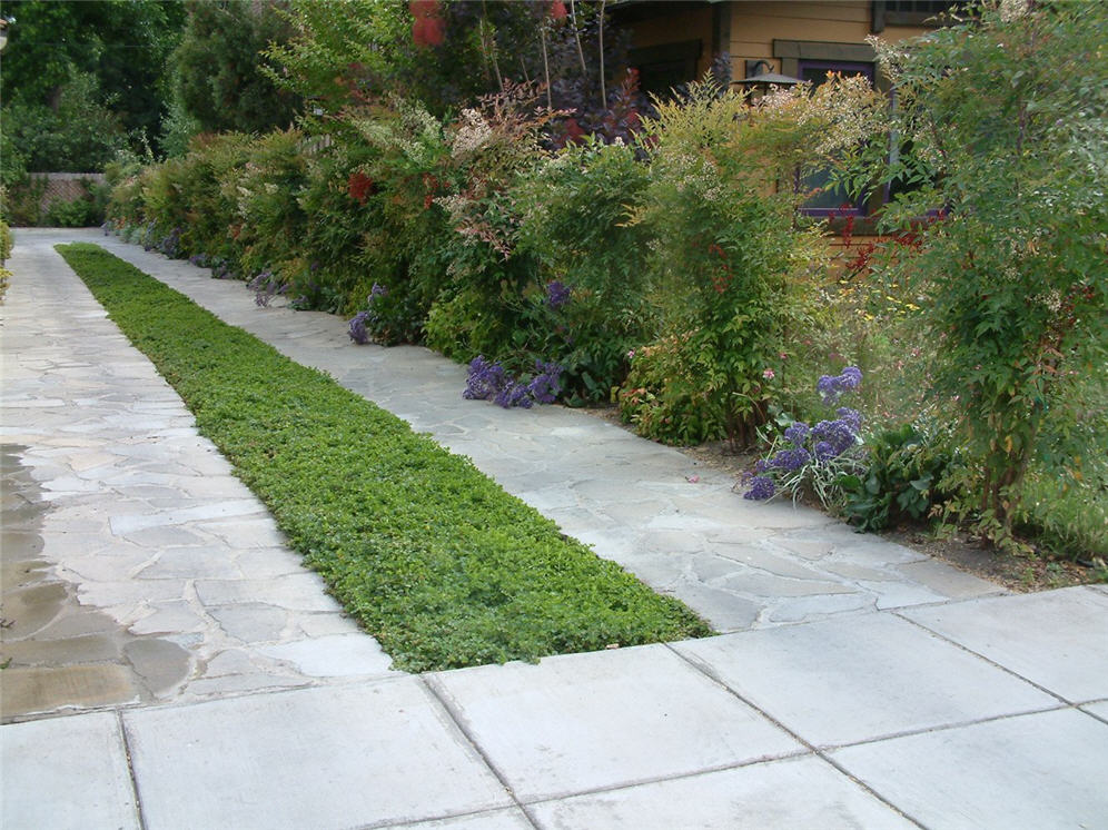 Driveway and Walkway Combo