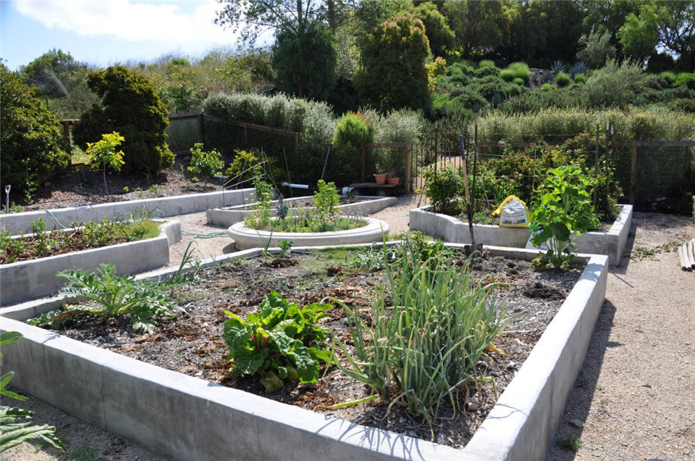 Concrete Raised Beds