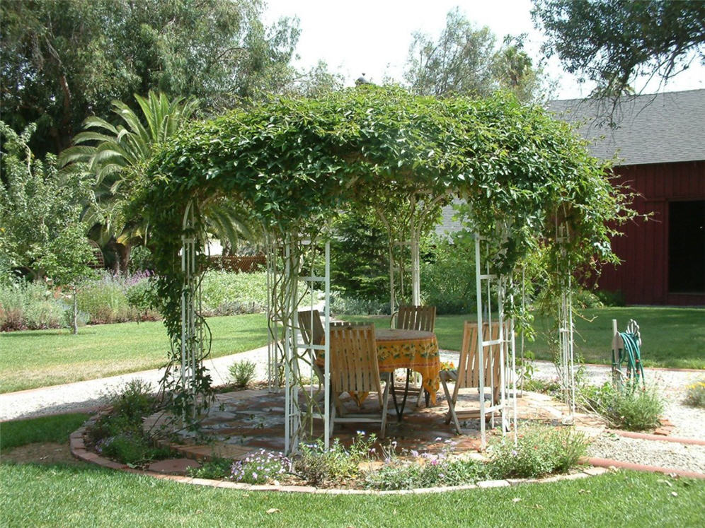 Vine Arbor