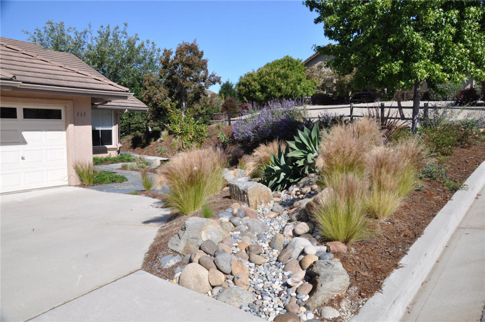 Creek Bed and Hillside