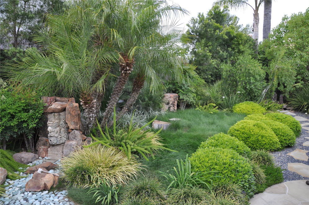 Tropical Garden