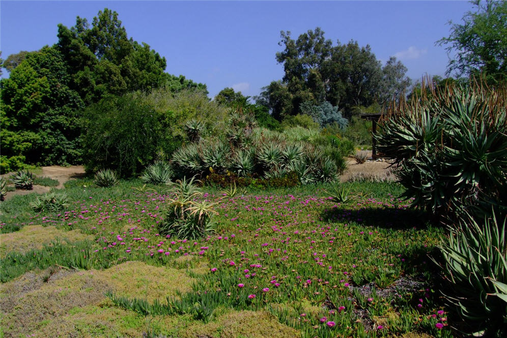 LA Arboretum