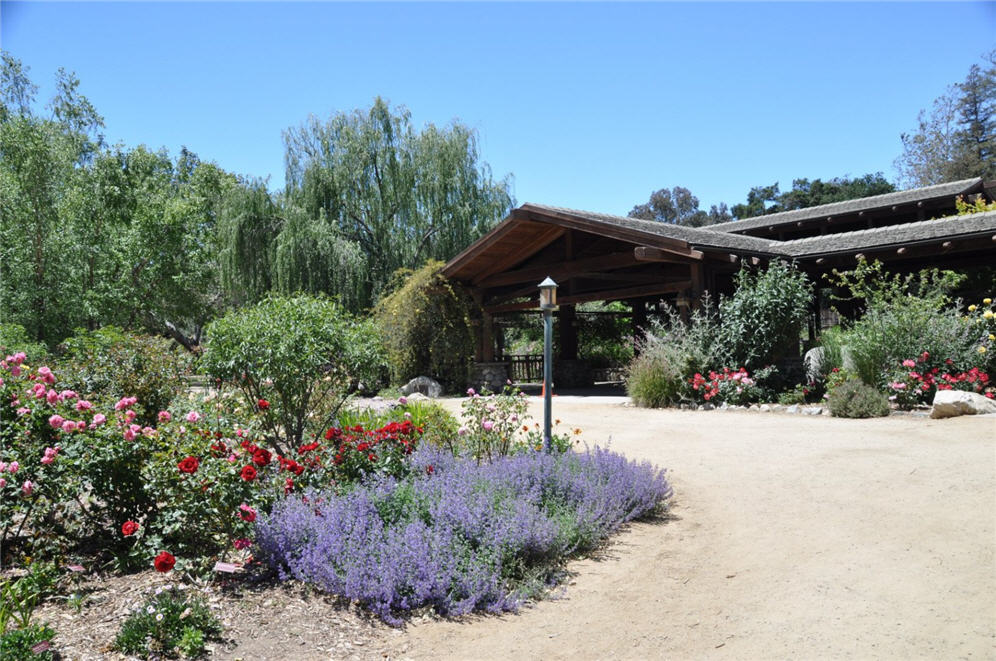 DG Path Through Descanso Gardens